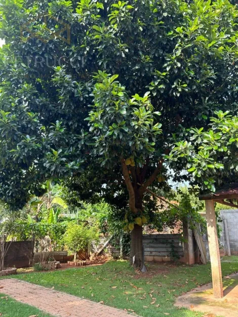 imagem 3 - LINDA CHÁCARA  PARA VENDA E LOCAÇÃO EM JAGUARIÚNA imagem 3 - LINDA CHÁCARA  PARA VENDA E LOCAÇÃO EM JAGUARIÚNA