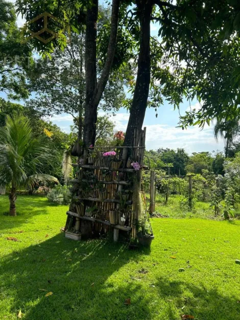 imagem 5 - LINDA CHÁCARA  PARA VENDA E LOCAÇÃO EM JAGUARIÚNA imagem 5 - LINDA CHÁCARA  PARA VENDA E LOCAÇÃO EM JAGUARIÚNA
