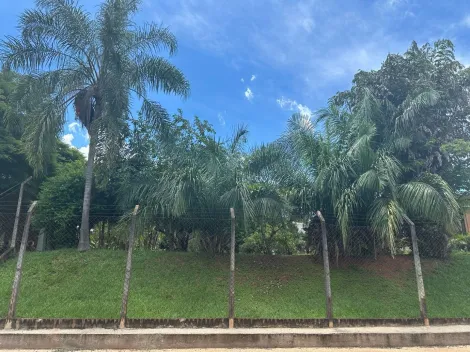 imagem 3 - CHÁCARA À VENDA EM JAGUARIÚNA - ÓTIMA OPORTUNIDADE! PARA MORAR OU INVESTIR! imagem 3 - CHÁCARA À VENDA EM JAGUARIÚNA - ÓTIMA OPORTUNIDADE! PARA MORAR OU INVESTIR!