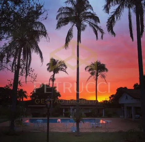 imagem 4 - CHÁCARA À VENDA EM JAGUARIÚNA - ÓTIMA OPORTUNIDADE! PARA MORAR OU INVESTIR. imagem 4 - CHÁCARA À VENDA EM JAGUARIÚNA - ÓTIMA OPORTUNIDADE! PARA MORAR OU INVESTIR.