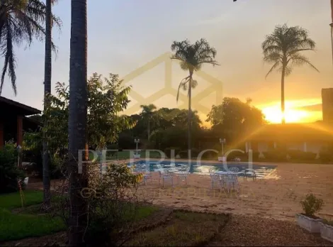 imagem 5 - CHÁCARA À VENDA EM JAGUARIÚNA - ÓTIMA OPORTUNIDADE! PARA MORAR OU INVESTIR. imagem 5 - CHÁCARA À VENDA EM JAGUARIÚNA - ÓTIMA OPORTUNIDADE! PARA MORAR OU INVESTIR.