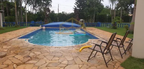 imagem 5 - LINDA SÍTIO À VENDA EM JAGUARIÚNA/SP ACEITA PERMUTA imagem 5 - LINDA SÍTIO À VENDA EM JAGUARIÚNA/SP ACEITA PERMUTA