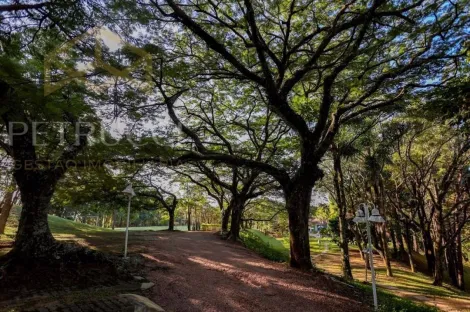 imagem 3 - BELÍSSIMO SÍTIO À VENDA EM LOUVEIRA/SP. imagem 3 - BELÍSSIMO SÍTIO À VENDA EM LOUVEIRA/SP.