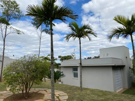 imagem 1 - CHÁCARA BELA VISTA À VENDA EM CAMPINAS/SP. imagem 1 - CHÁCARA BELA VISTA À VENDA EM CAMPINAS/SP.