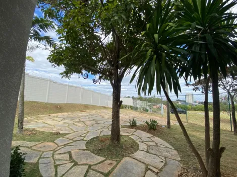 imagem 3 - CHÁCARA BELA VISTA À VENDA EM CAMPINAS/SP. imagem 3 - CHÁCARA BELA VISTA À VENDA EM CAMPINAS/SP.