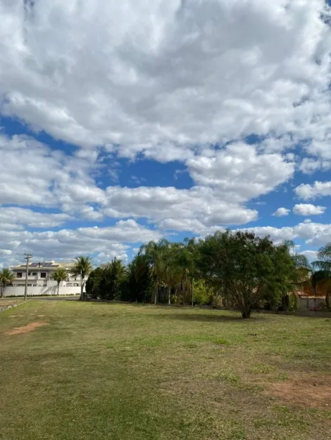 imagem 5 - CHÁCARA BELA VISTA À VENDA EM CAMPINAS/SP. imagem 5 - CHÁCARA BELA VISTA À VENDA EM CAMPINAS/SP.